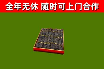 香格里拉回收海参